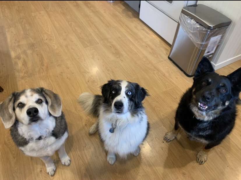 keg 🐬 tweet media