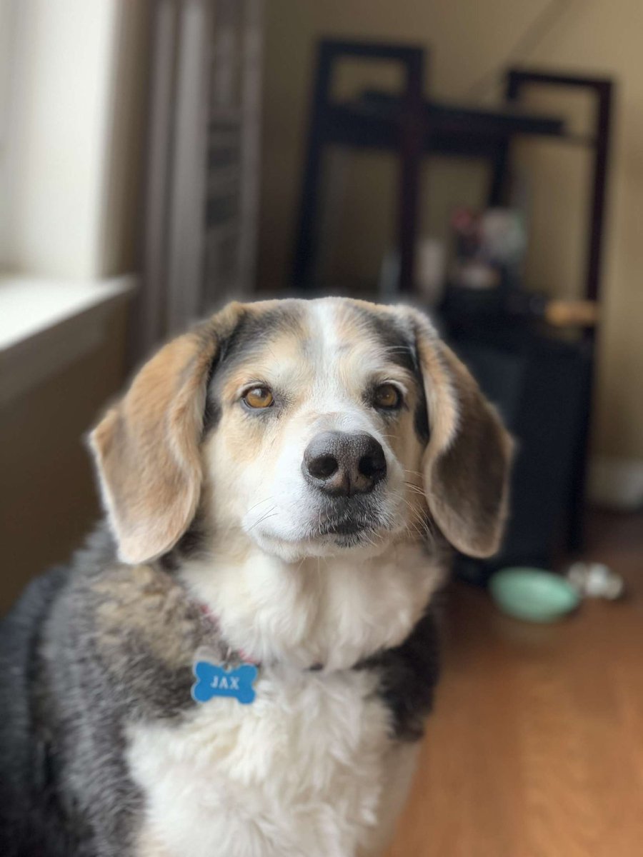 keg 🐬 tweet media