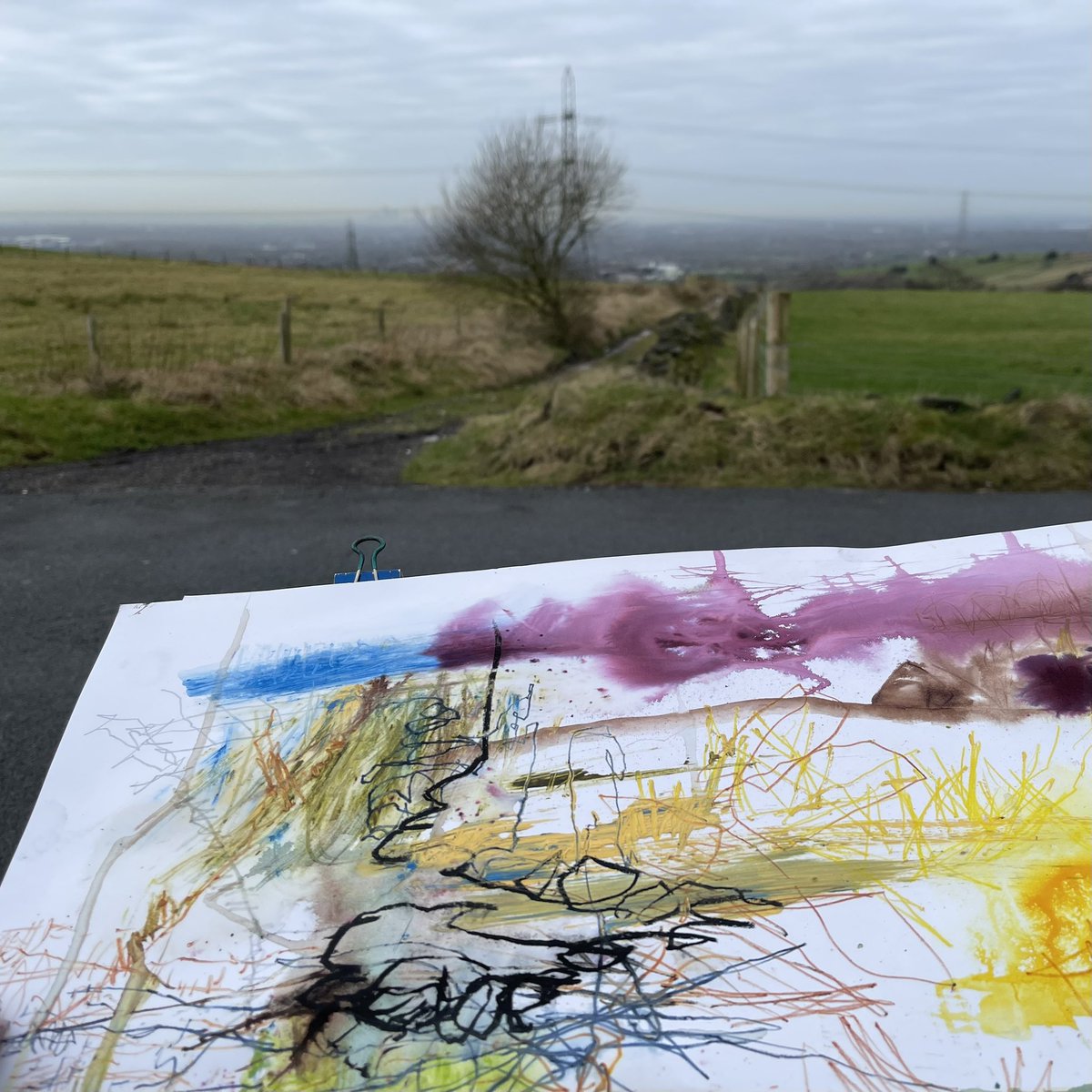Great to get out drawing and mark making as a reminder and reconnection for my wild flora Painting series #wildflora #abstractlandscape