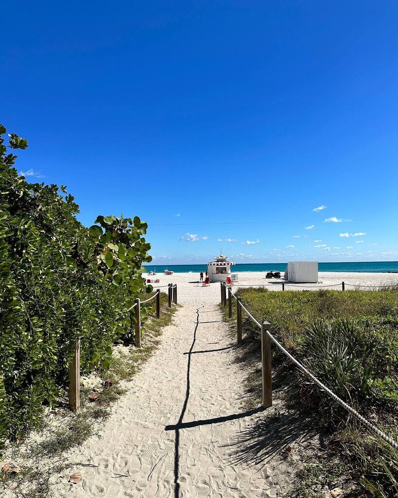 TheMiamiGuide's tweet photo. Paradise found in Miami π΄
πΈ 1,2,3,4?
Happy #TurtleTuesday from Miami Beach π’π΄
Follow @miamidadeseaturtles
#SaveMiamiSeaTurtles #miamibeach #miamivibes #miamidadeparks #seaturtles β£#turtles#visitmiami #miami https://t.co/c2G0J4r6Oa https://t.co/n70ZWFW4Z8
