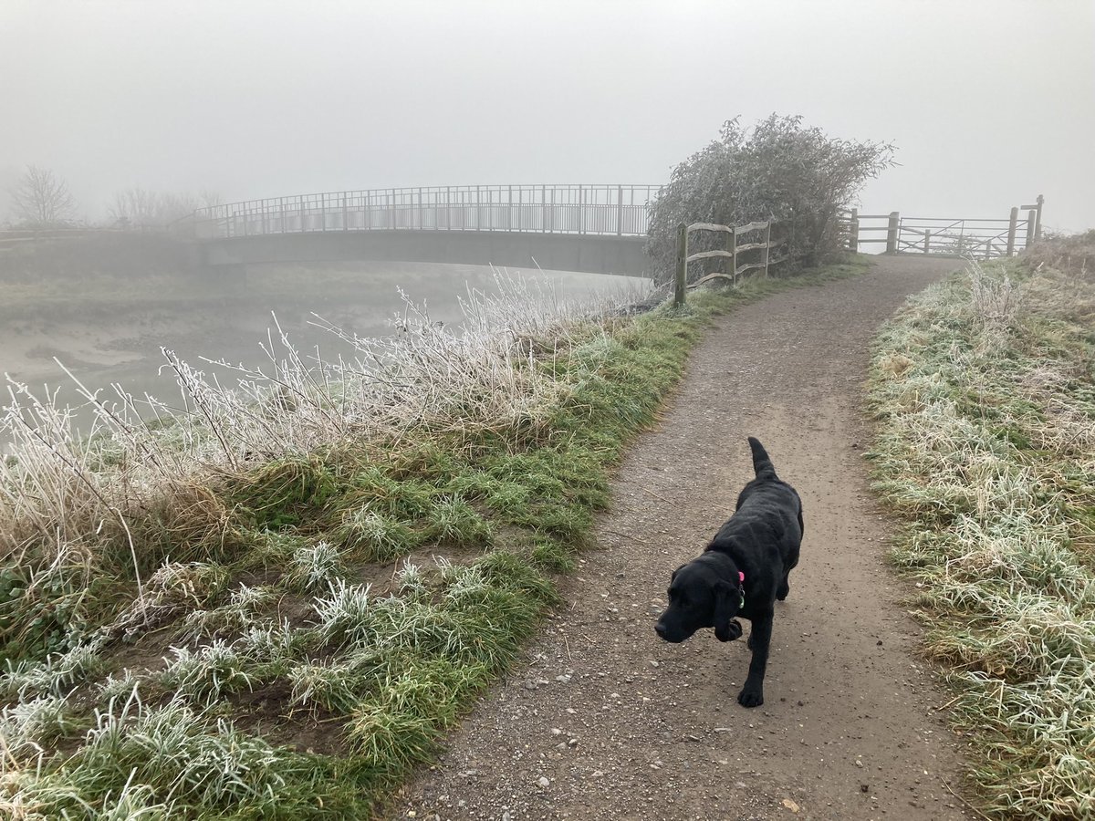 maryferrier's tweet photo. Same stretch of river, one day apart! From sunshine to -1ยฐC and freezing fog! @sdnpa @FriendSouthDwns @SouthDownsFans #SouthDownsWay #SouthDownsNationalPark #DownsLink #RiverAdur #UpperBeeding https://t.co/1O27ED1VSi