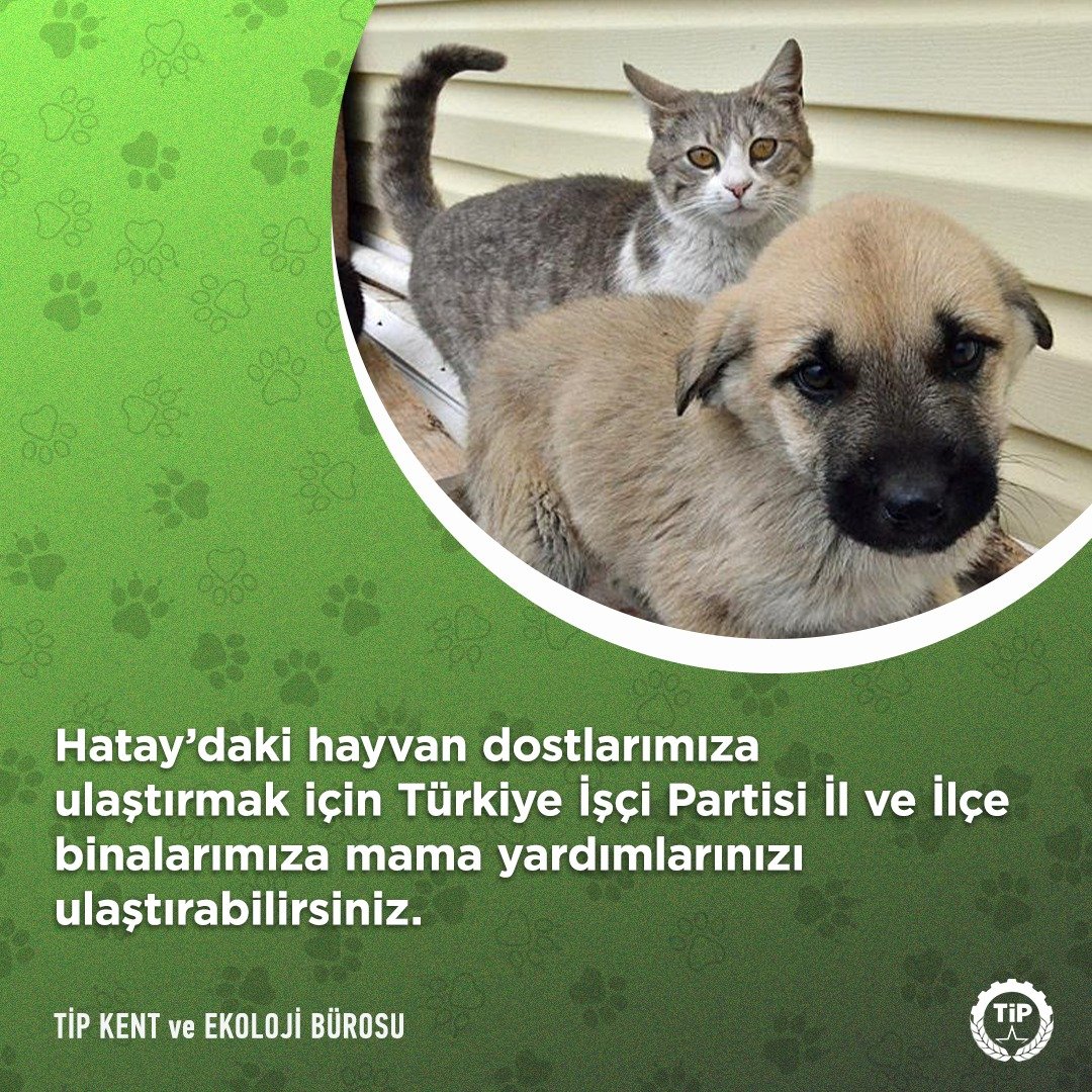 Hatay'daki hayvan dostlarımıza ulaştırmak için Türkiye İşçi Partisi il ve ilçe binalarımıza mama yardımlarınızı ulaştırabilirsiniz.