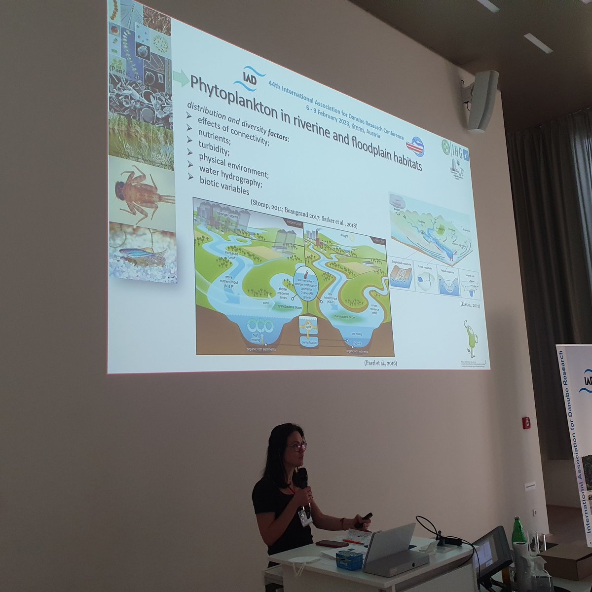 BigerScience's tweet photo. Another talk from our group by Olena Bilous on algal dynamics in riverine landscapes at #IAD44
@FWF @CdlMeri @BOKU_IHG 
#algae #floodplain ##metaecosystem https://t.co/A23ZDKW0vP