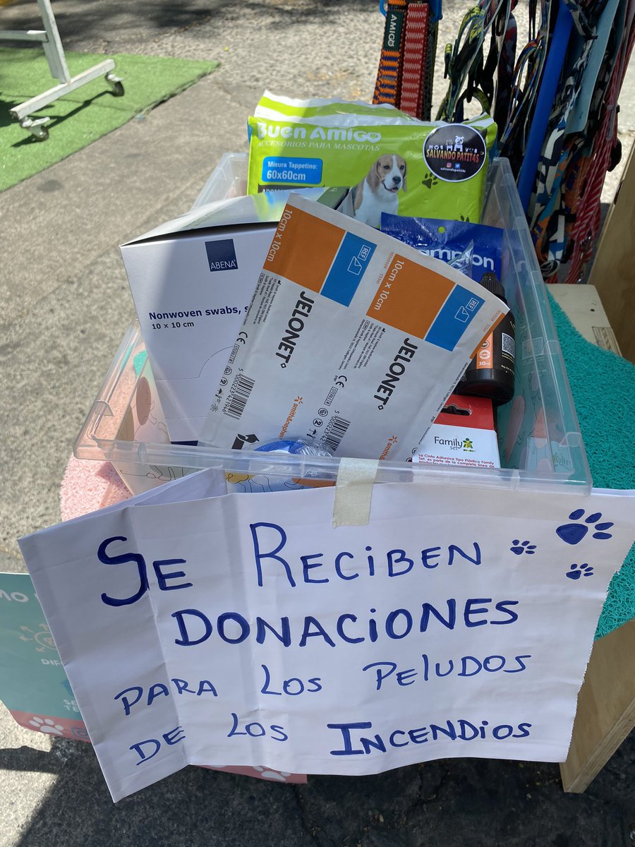 Salvando Patitas Chile 🇨🇱 tweet media