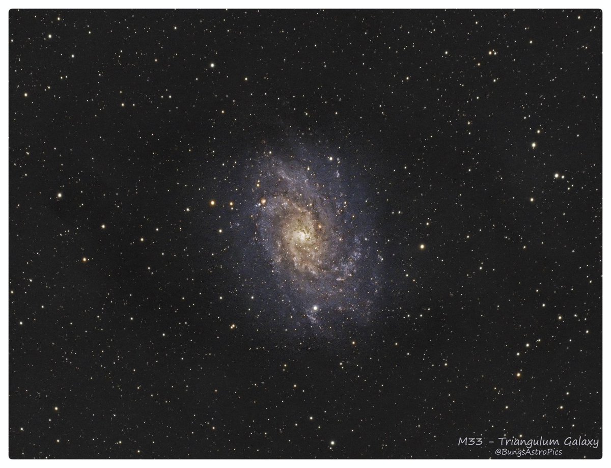 M33 Triangulum Galaxy

Taken from the back garden in Bury, UK.

#Astrophotography #astro #photo #galaxy #optolong #altairastro #space #dso #photography #PHOTOS @skyatnightmag @321FlaSpaceGirl #astrohour