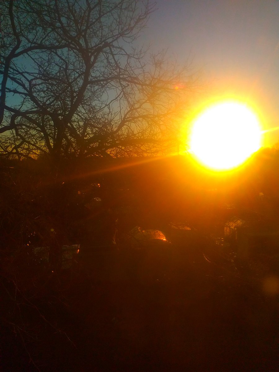 Bono66020372's tweet photo. #sunsetphoto from my #windowview taken on 7 February #norwich
It's a 23.2 mile drive to get to #Cromer from Norwich & #Theguntonarms set in an #18thcentury 1,000 acre #deerpark in Cromer has featured in #Estrelladamn's #top50gastropubs - it's the best #foodiebreak #coast #beach https://t.co/varch0KwCJ