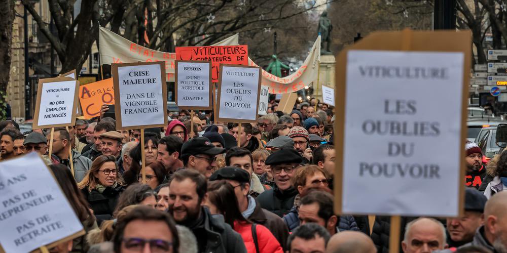 🍇 Une avancée dans la sortie de crise du monde viticole : le Gouvernement débloque 160 millions !

La crise a été entendue par le Ministre de l'Agriculture @MFesnea. Cependant il s'agit d'une crise très profonde qui mérite des mesures structurelles. 1/2 ↩️