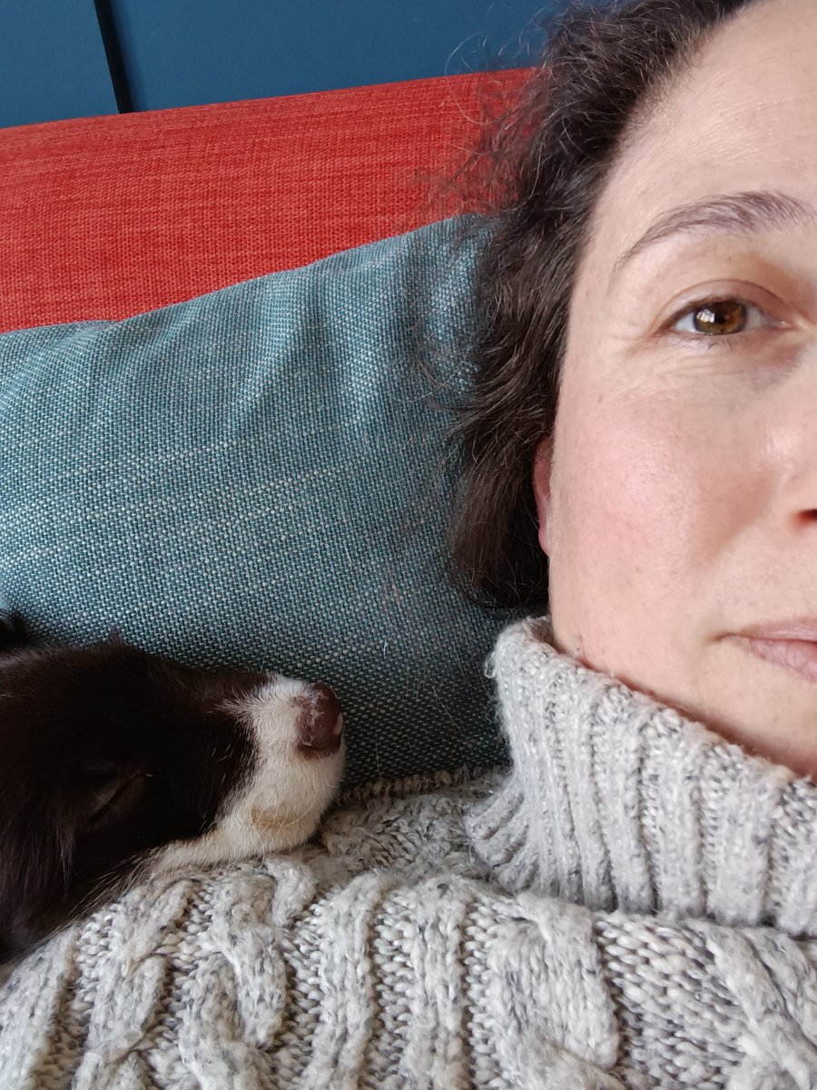 Our world has been turned upside down... Potty training, day sleeping, night time wake ups &amp; lots of cuddles.
Little Luna is settling in nicely &amp; we hope she isn't missing her birth family too much x

#doulafairy #placentaencapsulation #placentapills #placenta #dogmum #puppymum