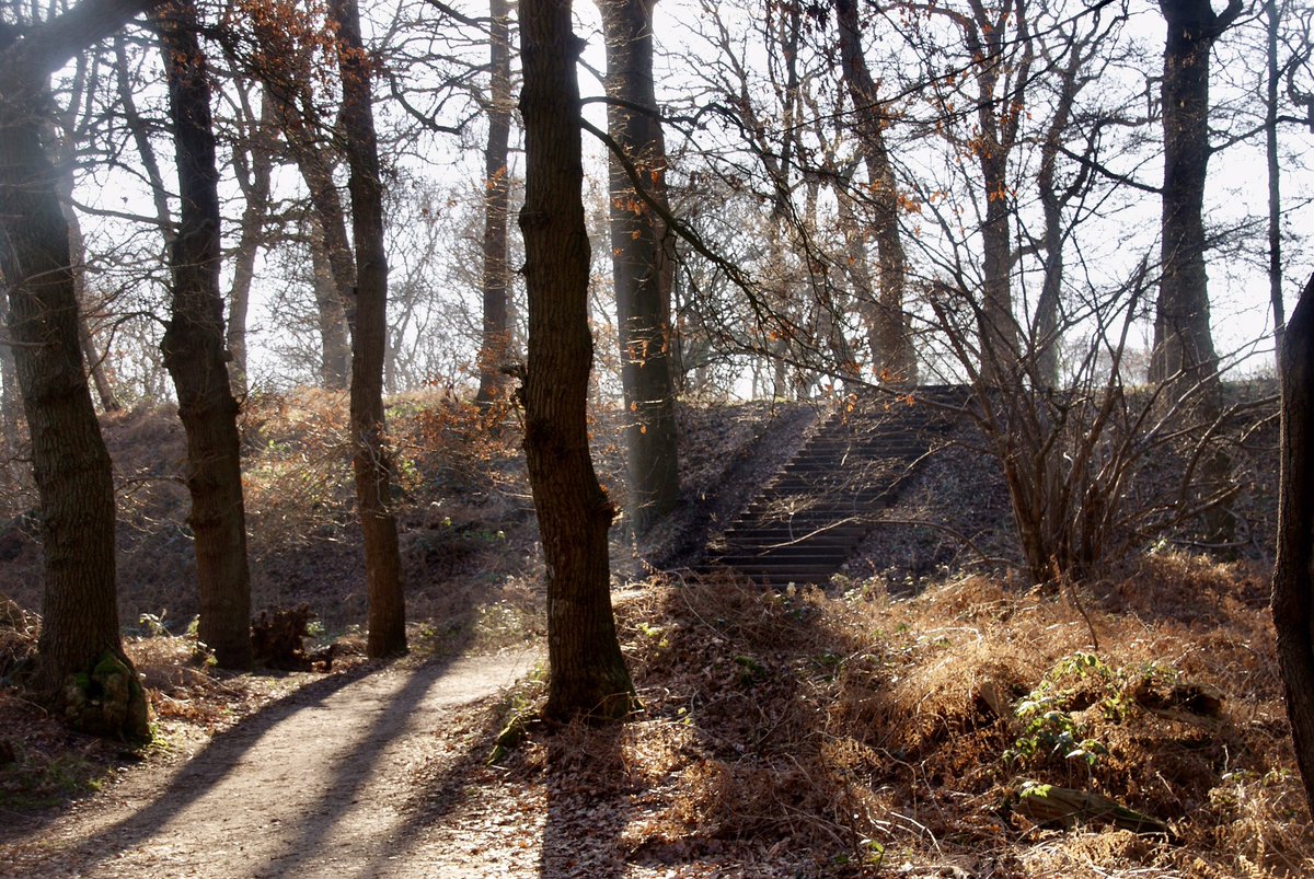 #fotoblog - Grebbeberg #wandelen #uitkijkpunten #blauwekamer #betuwe #natuur #utrechtslandschap