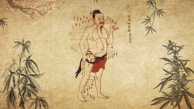 Canna World tweet media