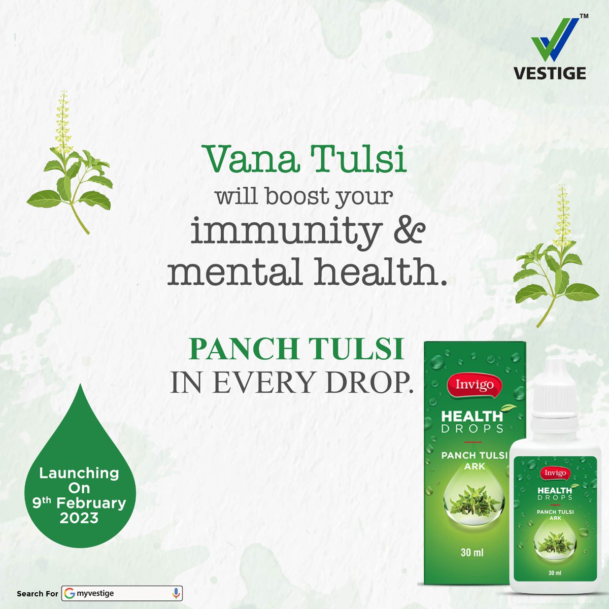 Increase your immunity and improve your mental health with all the goodness in a single drop of Panch Tulsi Ark.Launching on 9th February 2023.

#WishYouWellth #panchtulsiark #tulsidrop #invigo #comingsoon