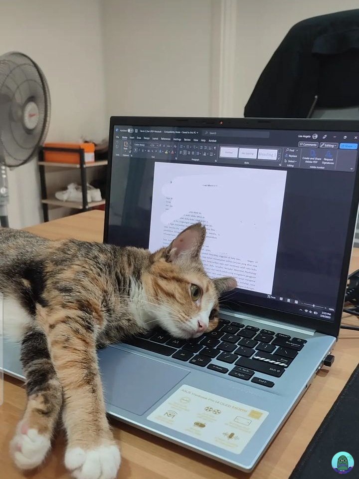 b for bismillah lulus snbt²³ tweet media