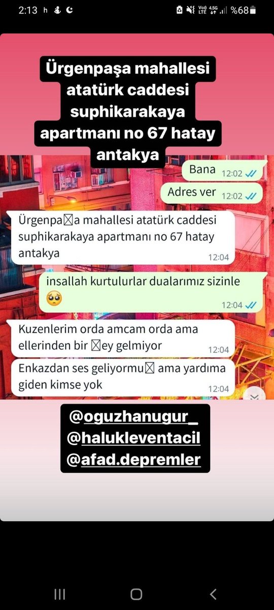 Berfu Leyla tweet media