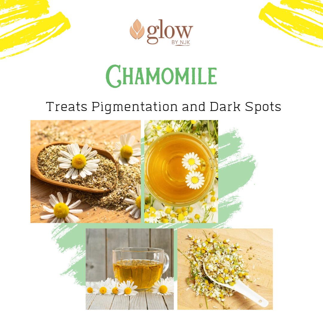 Chamomile reduces the melanin pigment and helps to treat Pigmentation and dark spots, Tighten pores and soften the skin.
Consuming Chamomile tea for 2 to 3 weeks gives you a healthy glow.
#glowbynjk #chamomile #chamomileoil #smoothskin #tightenpores #pigmentation #darkspots