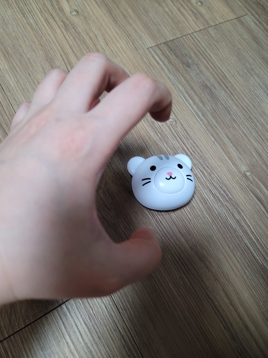 호랑해♡😆 다이소에서 마지막 남은 호랭이 델꼬옴ㅋㅋㅋㅋㅋ아 너무 행복해♡♡♡