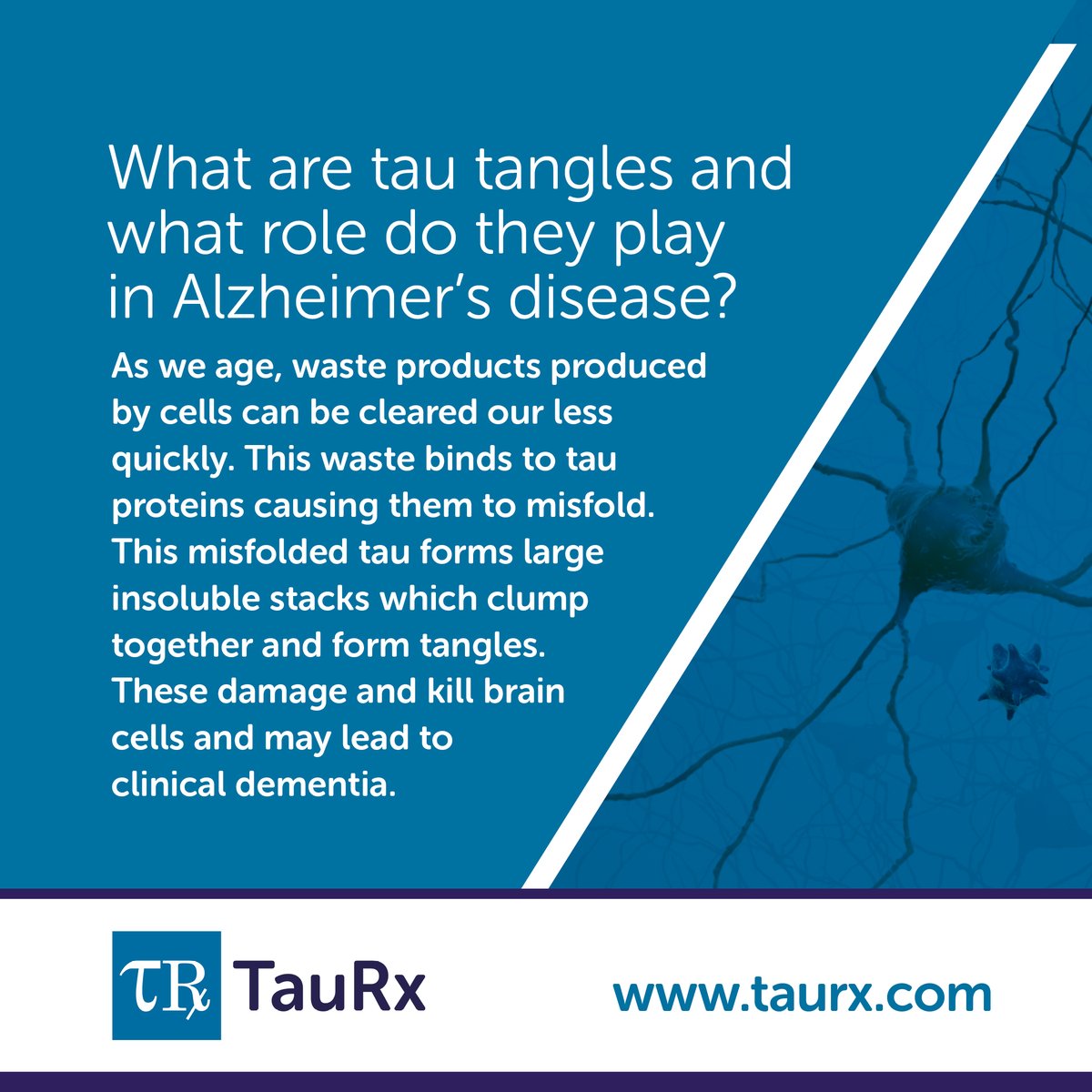 TauRx's tweet photo. Do you have a question about tau and how it relates to Alzheimer’s Disease?
Check out the answers to our FAQs below ⬇️
https://t.co/M4QGgg9DwJ
#dementia #Alzheimers #targetingtau #timefortauisnow https://t.co/BfBKvUGLvz