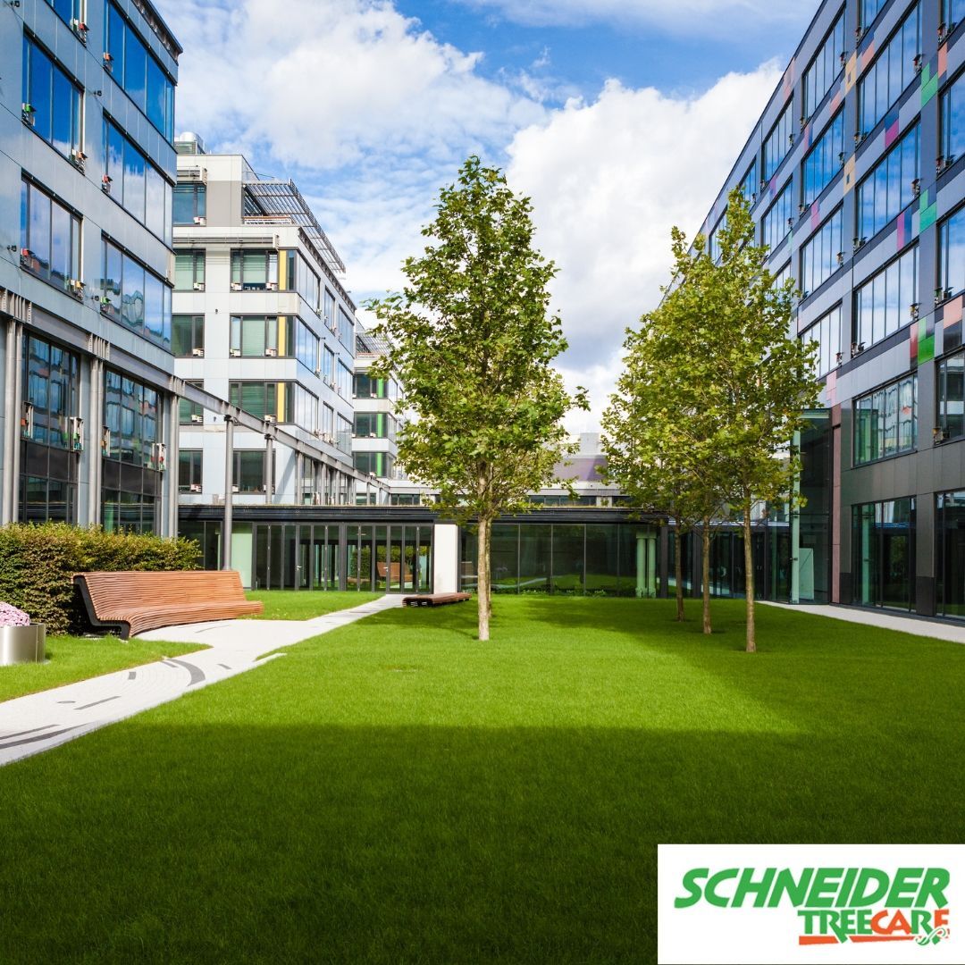 Whether you are a small start-up or a Fortune 500 company, you can enhance the appeal of your commercial property and keep it safe with Schneider Tree Care. Call 864-664-2025. #SchneiderTreeCare#CommercialPropertyManagers