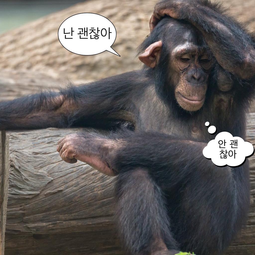 애들 고3 시절에 아직도 미련 가득한 사람들의 모임