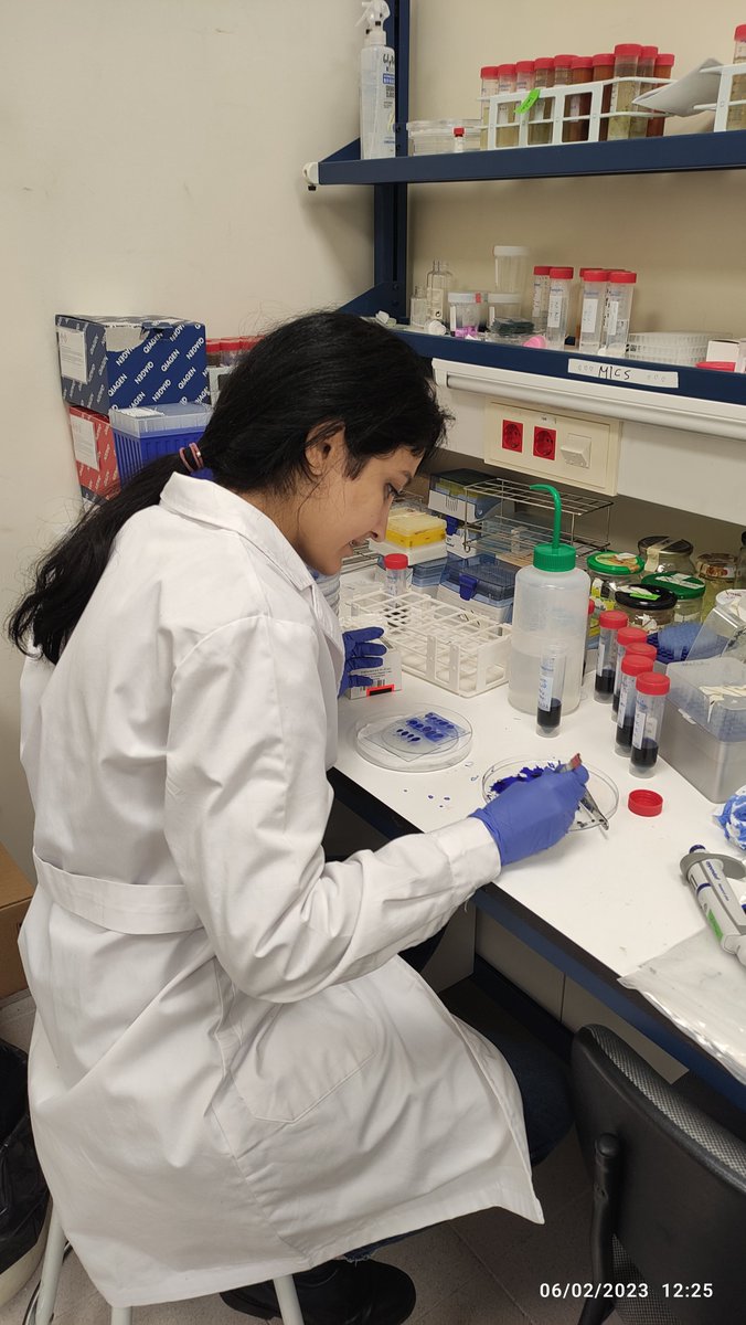 Plant Immunity and Biochemistry (@pibgroupir) on Twitter photo π©βππ©βππ©βπ¨#11F is the International Day of Women and Girls in Science!
<a href="/LRassizadeh/">Leili Rasi</a> is PhD student, she studies how Extracellular #DNAπ§¬acts as a Green Vaccineπ± induces plant resistance against pathogens and pest π¦ π
<a href="/UJIuniversitat/">Universitat Jaume I</a> <a href="/ESTCE_UJI/">ESTCE-UJI</a>
#WomenInSTEM #womeninscience #Science π©βππ©βππ©βπ¨#11F is the International Day of Women and Girls in Science!
<a href="/LRassizadeh/">Leili Rasi</a> is PhD student, she studies how Extracellular #DNAπ§¬acts as a Green Vaccineπ± induces plant resistance against pathogens and pest π¦ π
<a href="/UJIuniversitat/">Universitat Jaume I</a> <a href="/ESTCE_UJI/">ESTCE-UJI</a>
#WomenInSTEM #womeninscience #Science