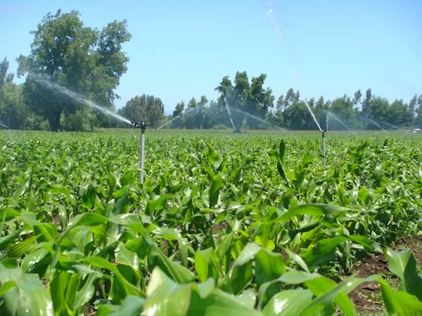 LA AGRICULTURA DEL FUTURO Y EL USO EFICIENTE DEL AGUA
buff.ly/33GfYXC