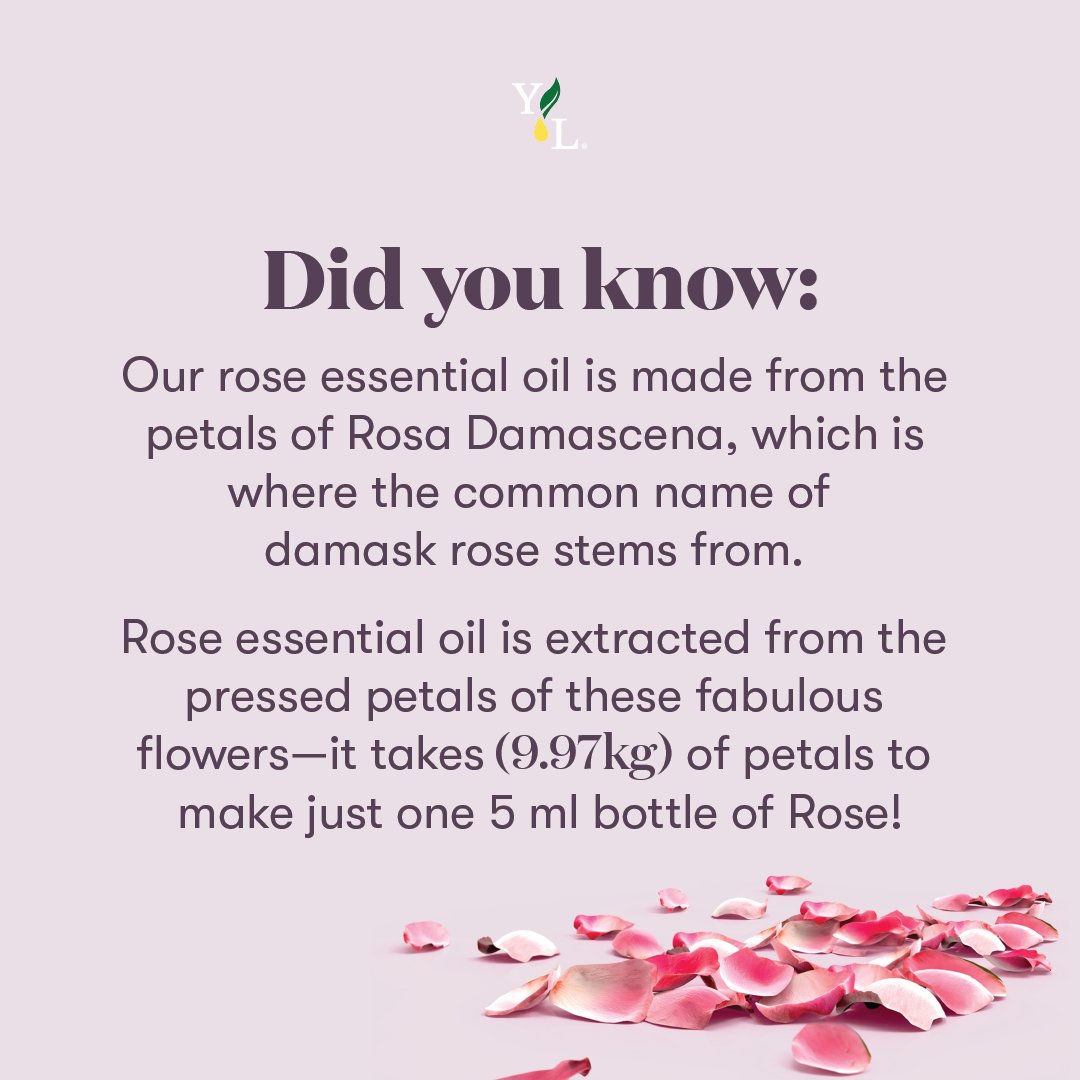 YoungLivingAF's tweet photo. happy Rose DayπΉ
You are perfect pairs with Young Living
ππ SHOP OUR FEBRUARY OFFERS via the link in our bioπ² 'Monthly Offers'!
.
https://t.co/D94YzVYy3O
.
#PerfectPairs #YLPerfectPairsWithMe #LifeWithYL #YoungLivingAfrica #EssentialOils https://t.co/eQLZYhysP9
