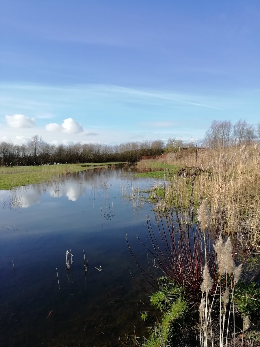 Bijna een nieuw vloeiveld op de Suikerzijde.