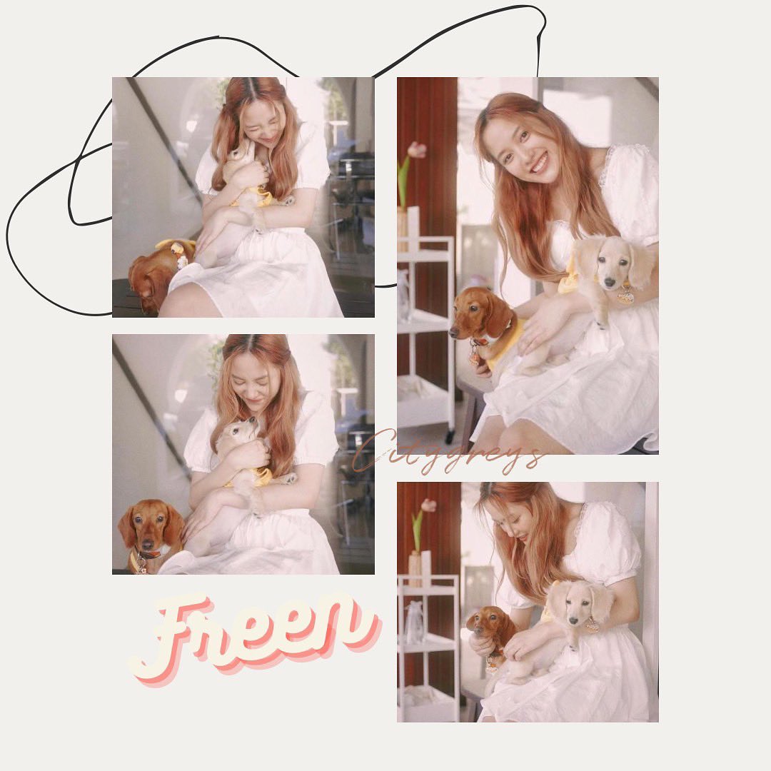 citygreys's tweet photo. Splendide 🤎🐶 #Freen #gaptgeseries #dog #sarochafreen #GaptheseriesFrench #FreenBeck #beautiful insta : Citygreys https://t.co/chyTa7wW7w