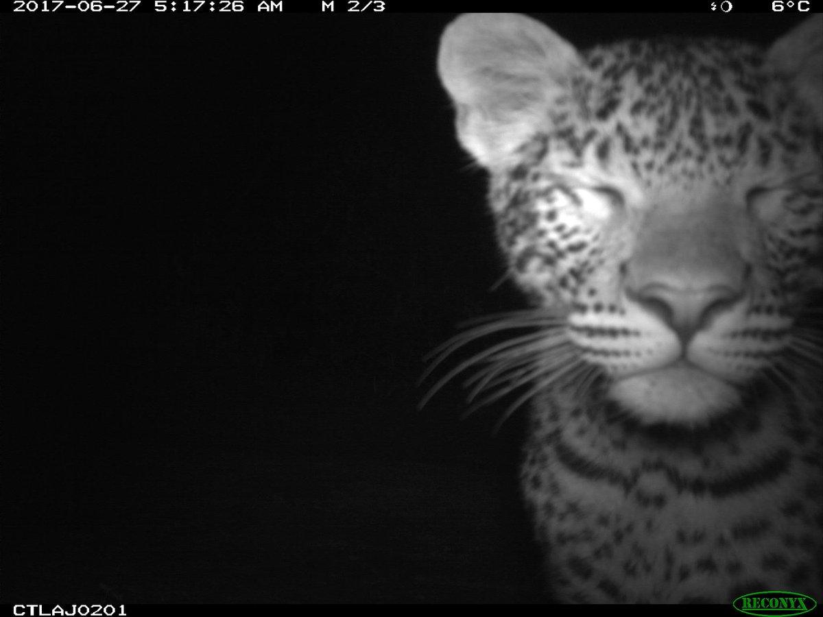 The Data School New York tweet media