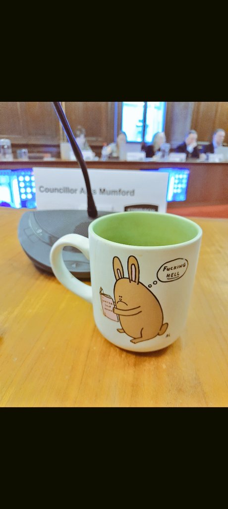 Cllr Alys Mumford tweet media