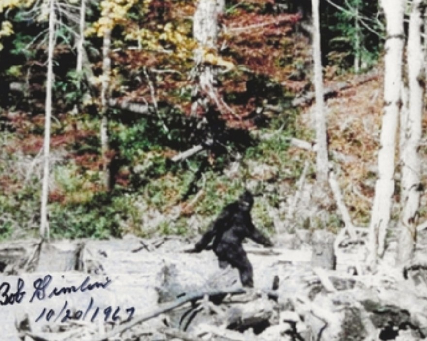 bnschlz's tweet photo. Bigfoot sightings correlate with bear numbers, so many supposed sightings are probably misidentified bears https://t.co/UuFPAKXMeR Or alternatively, and a possibility the authors neglect - Bigfoot eat bears 😱 #BedtimeScience https://t.co/LRZSY3PQAr
