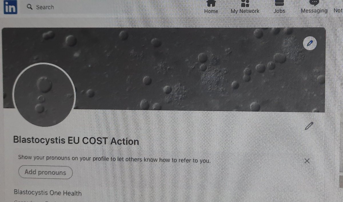 Follow our #Blastocystis EU COST Action in linkedin! #gut #protist #onehealth #parasite ? #science #scicomm <a href="/COSTprogramme/">COST</a>
