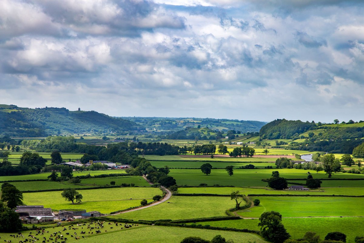 🗼TOWY USK PYLONS🗼
Professional advice available to landowners &amp; occupiers approached by connection project developers.  ☎️ 01267 612 021 📧 property@reesrichards.co.uk

#TowyUsk #Pylons #NantMithil #TowyValley #DyffrynTywi