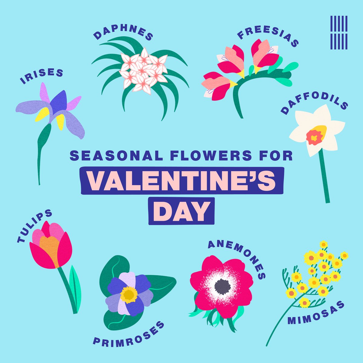 Roses are red, 🌹 But fly miles to the UK ✈️🥀 Try these homegrown flowers🌷 For this #ValentinesDay💐😊