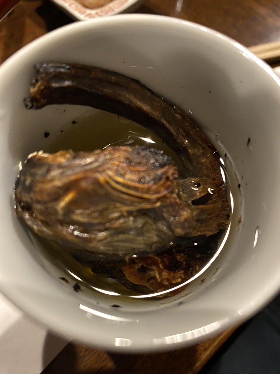 105julia's tweet photo. 佐賀県名物！　
#ワラスボ酒

いいねッと！ https://t.co/JougFzRiDi