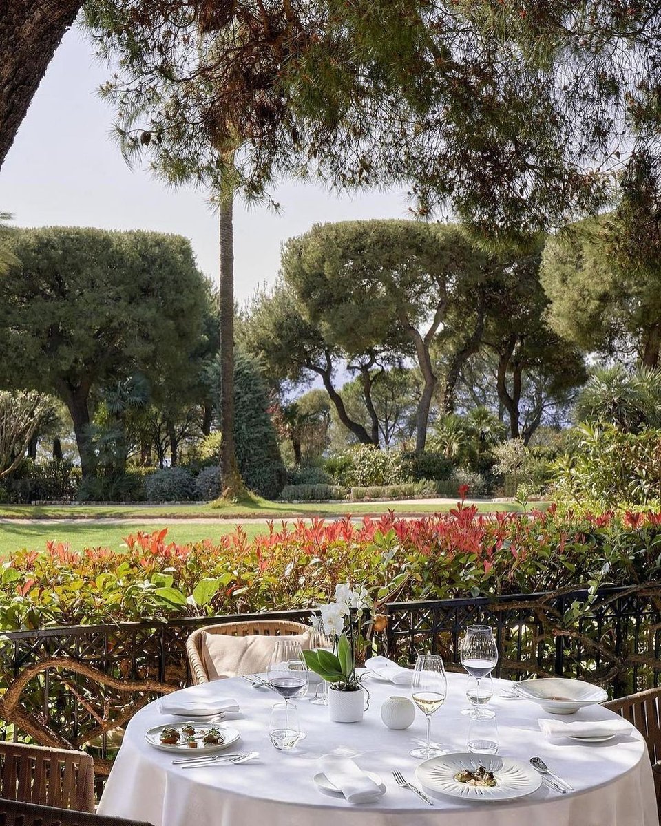 Valentine destination 04 | Grand Hôtel du Cap Ferrat has stunning views of the Mediterranean, world-class dining and exceptional service. 

📷: @fscapferrat

Explore with us;
☎+254 792 380 745 |📩 tours@tawi.co.ke

#TawiTravel #GrandHotelDuCapFerrat #LuxuryTravel #FrenchRiviera