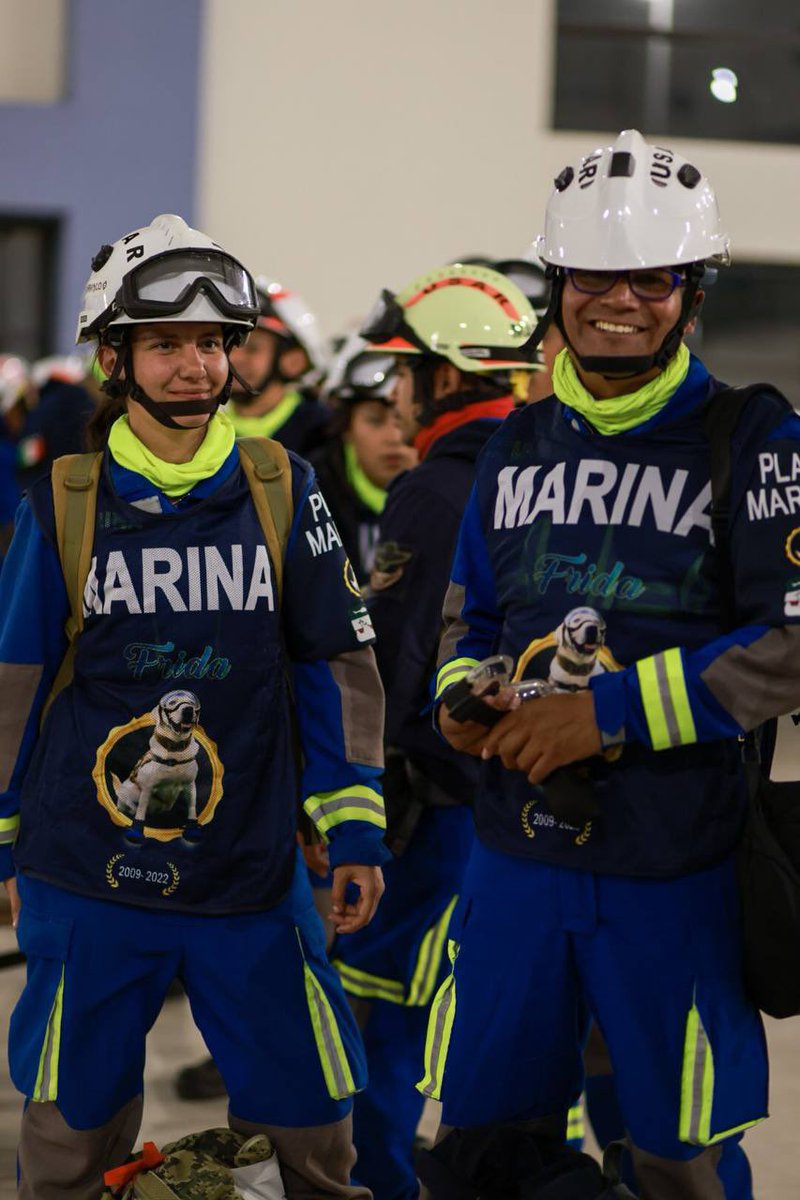 Los perritos rescatistas mexicanos que van a salvar vidas en Turquía son todo lo que está bien en el mundo.