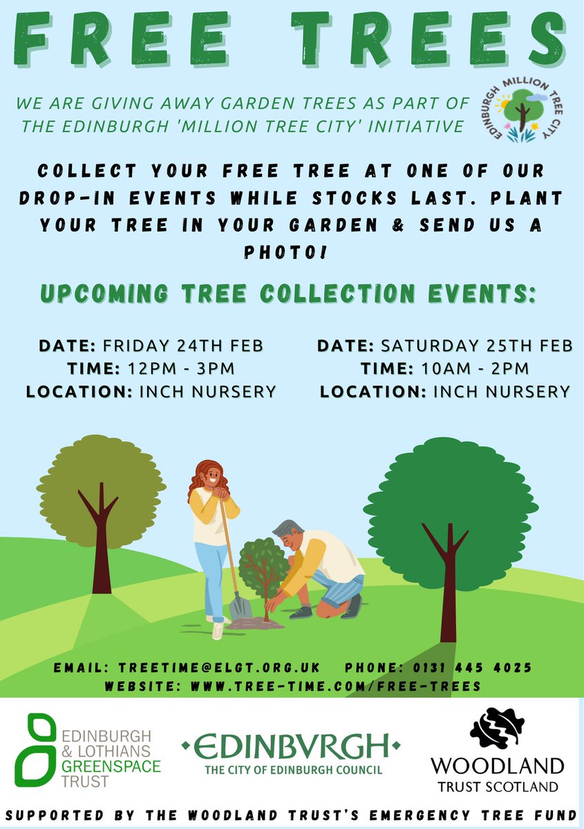 Tree Time tweet media