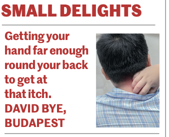 OldieMagazine's tweet photo. Small Delights! In the March issue of The Oldie, available on newsstands and the app - OUT NOW!
#smalldelights https://t.co/qaFOtxanub