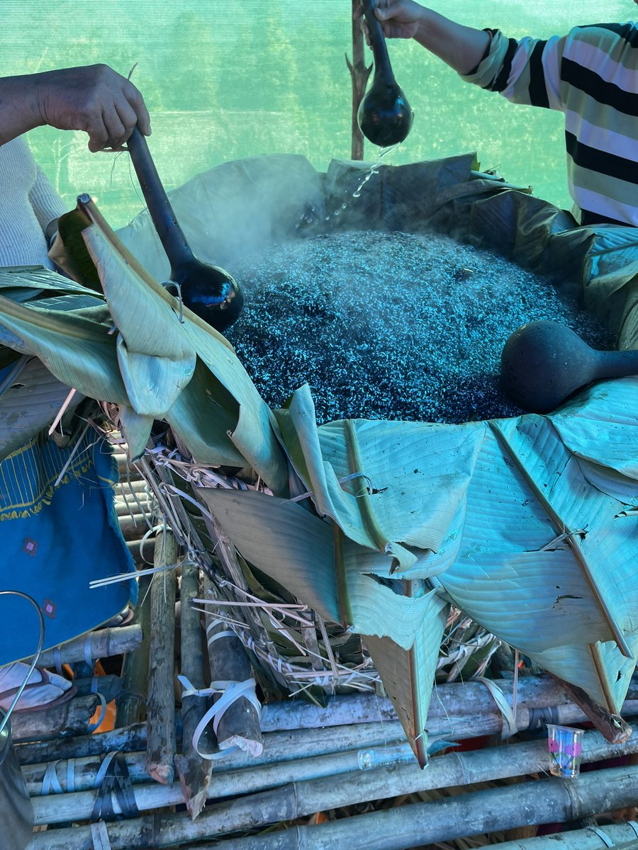 If weddings in Nagaland can be termed as magnificent, it’s simply crazy in Arunachal Pradesh (at least those I attended),
In pics: 1-2 local drinks being brewed in humungous makeshift distillery; 3 donated Mithun; 4-‘Warding off’ bad omens as bride’s party enter groom’s village.