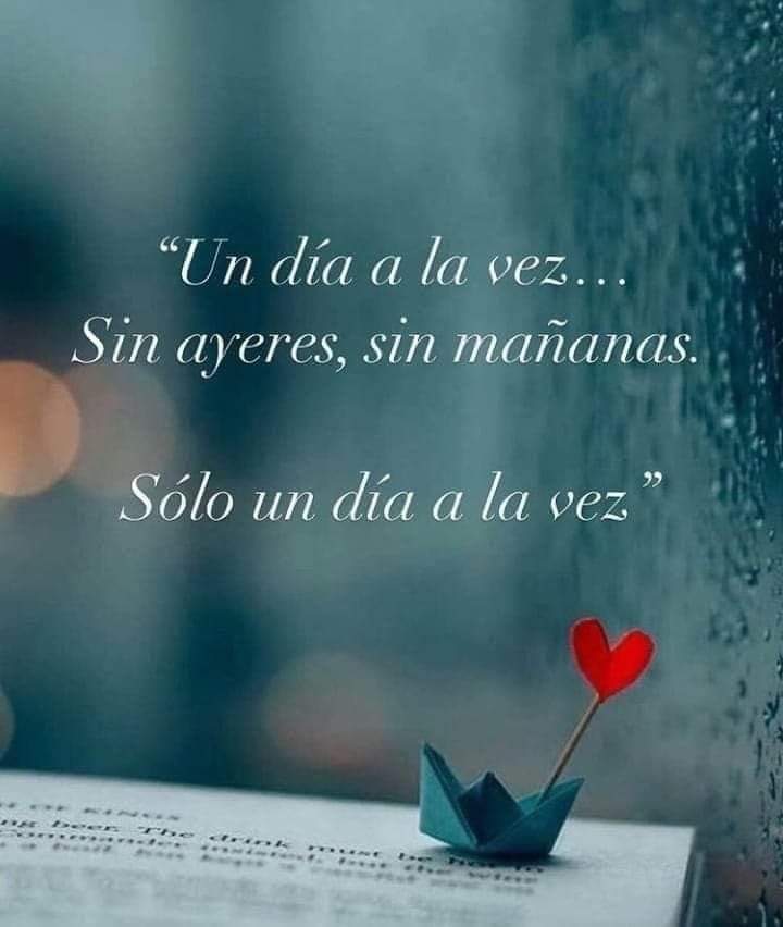 Carocastillo's tweet photo. Lindo martes pal que pase por aquí 😁👋
Abrazo y café 🤗☕️ https://t.co/nvfADsyr7m