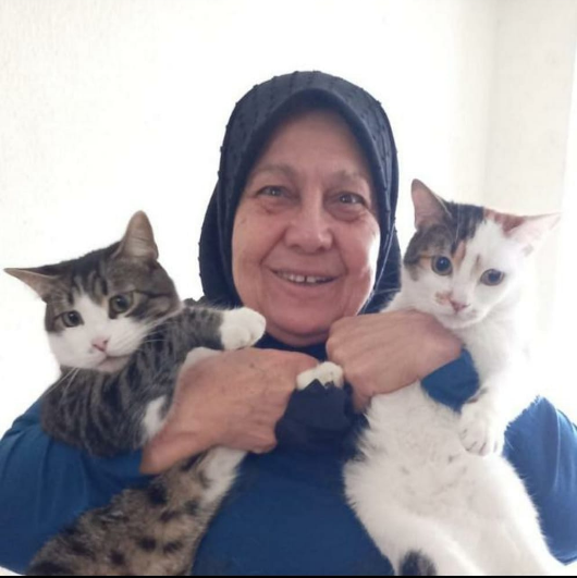 Nihal_K34's tweet photo. Sokak canları meleği Cemile Keyifli teyzemiz ailesi ve çok sayıda kedisi ile birlikte enkaz altında kurtarılmayı bekliyor. Emek Mah.1, Temel Sok, Çevikel Ap., Antakya
@AFADHatay acil kurtarılsın
@HatayValiligi @AFADBaskanlik @DepremDairesi @alifuatatiktr @dogan_rahmi @TC_icisleri https://t.co/49B7oIMqak