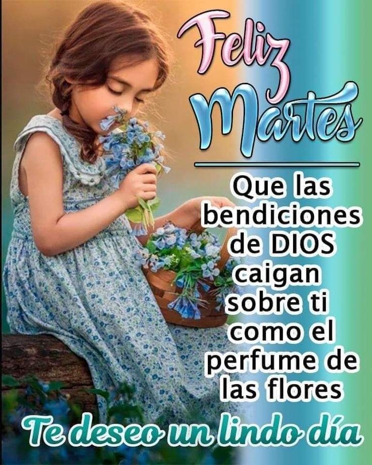 ✨Angeles✨ on X: "¡Te deseo un hermoso día de bendiciones y una vida de paz  y amor! ¡Feliz martes! @jeankarlosg1 @VicmarVikivjam @Valeria_GR76  @05_Villasmil @Mich3llD2 @MamJosefina1 #VenezuelaMonumental ????????  https://t.co/3vQetytt04" / X