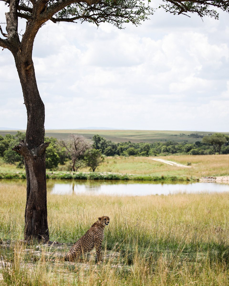 Ishara Kenya tweet media