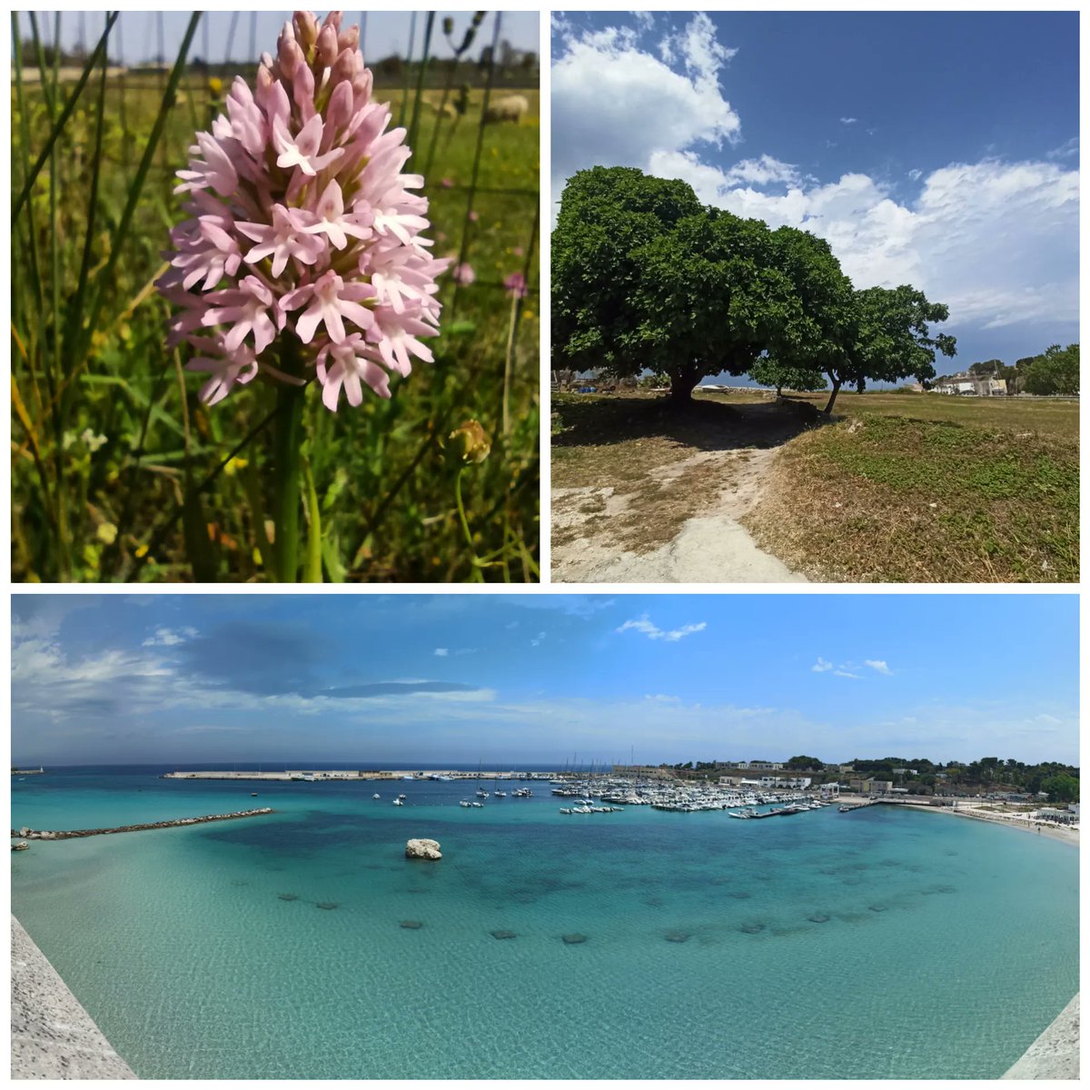 Explore the local sights, culture, and Italian food during the conference social events!