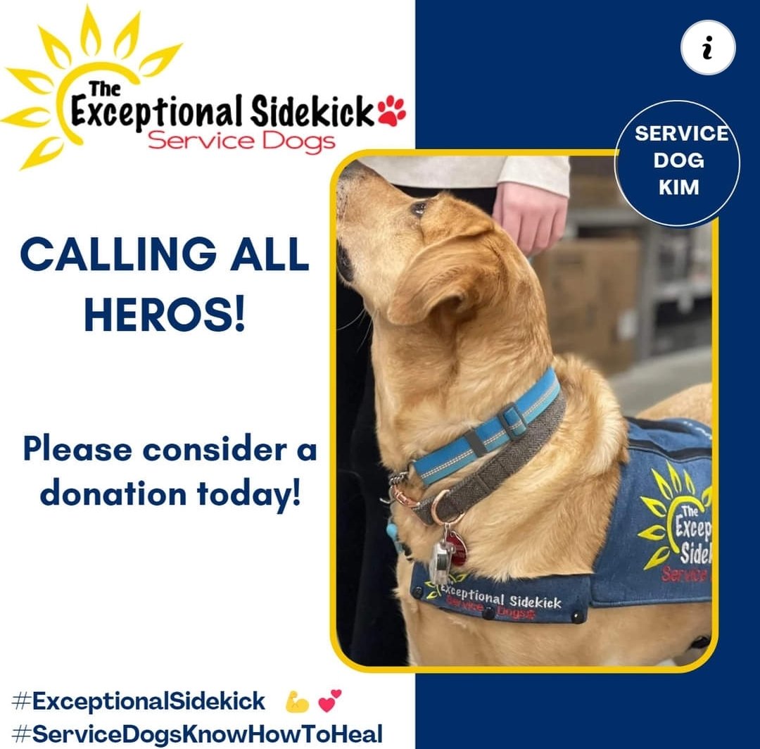 ExceptionalSDs's tweet photo. Our mission is to empower disabled teens &amp; young adults through the placement of psychiatric service dogs. We can't do it without your support. Please consider a donation today! https://t.co/ewCtos8NZM 

#ServiceDogsKnowHowToHeal #ExceptionalSidekick #EmpoweringIndividuals 💪💕" https://t.co/PO8sBhUP9r