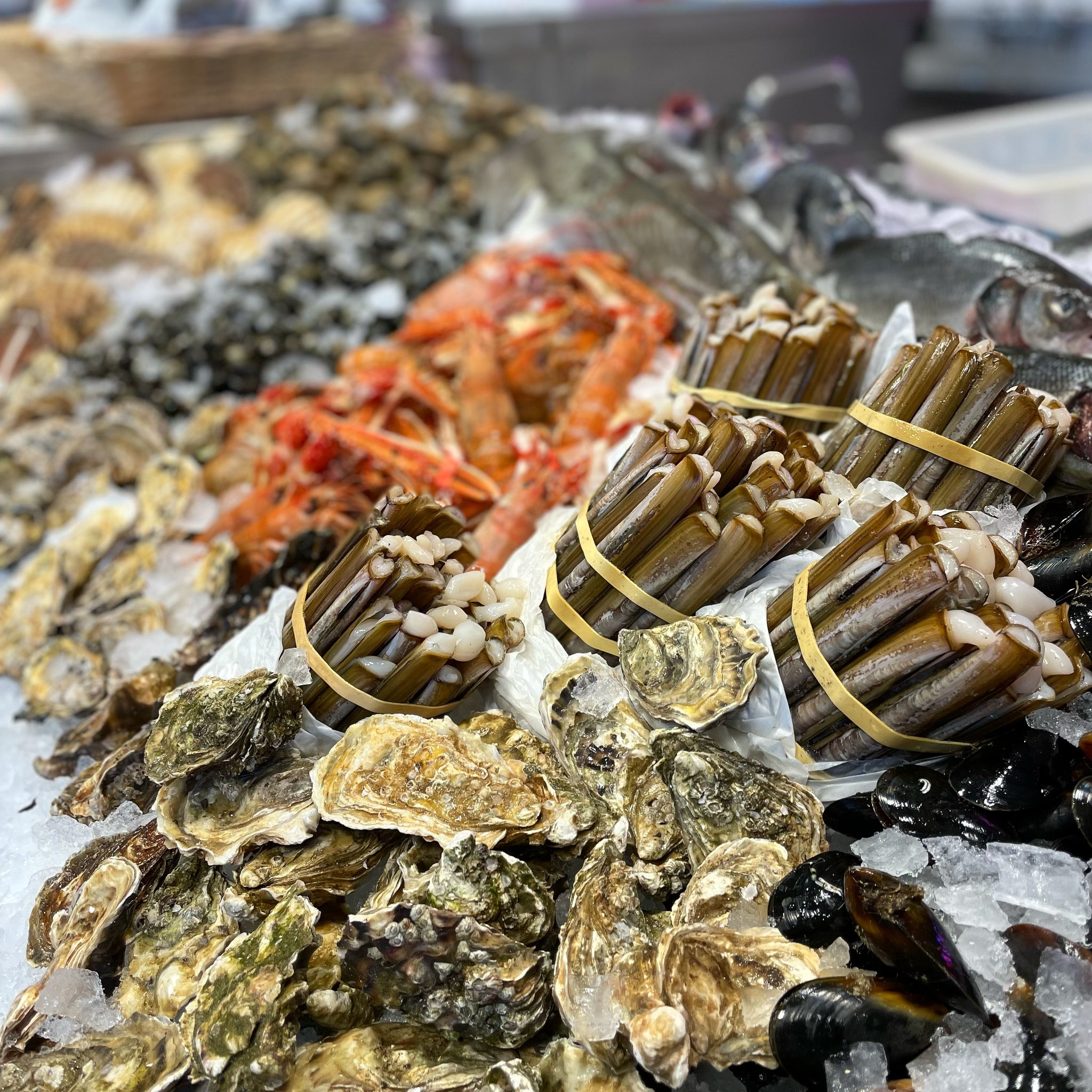 Welch's seafood 2024