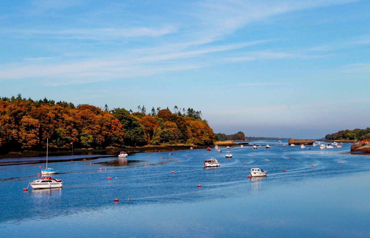 The Quay, Ballina. Did you know that Ballina Quay is Mayo’s last (or first!) Signature Discovery Point on the #WildAtlanticWay. It is one of the most picturesque parts of Ballina on the eastern side of the Moy, it is a quiet and peaceful setting. 

#Ballina #NorthMayo
