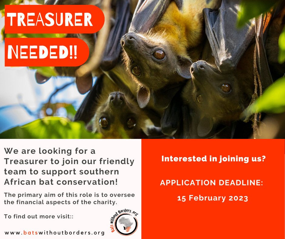 This is an exciting opportunity to join the dynamic BwB #Board and support our ongoing work on southern African bat conservation. 

lght.ly/3h15p1h

#treasurer #boardoftrustees #jointheteam #lovebats