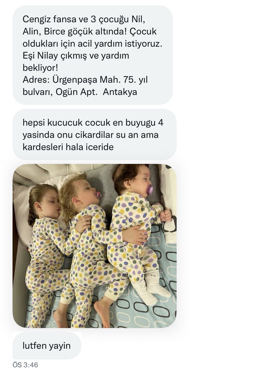 cagla tweet media