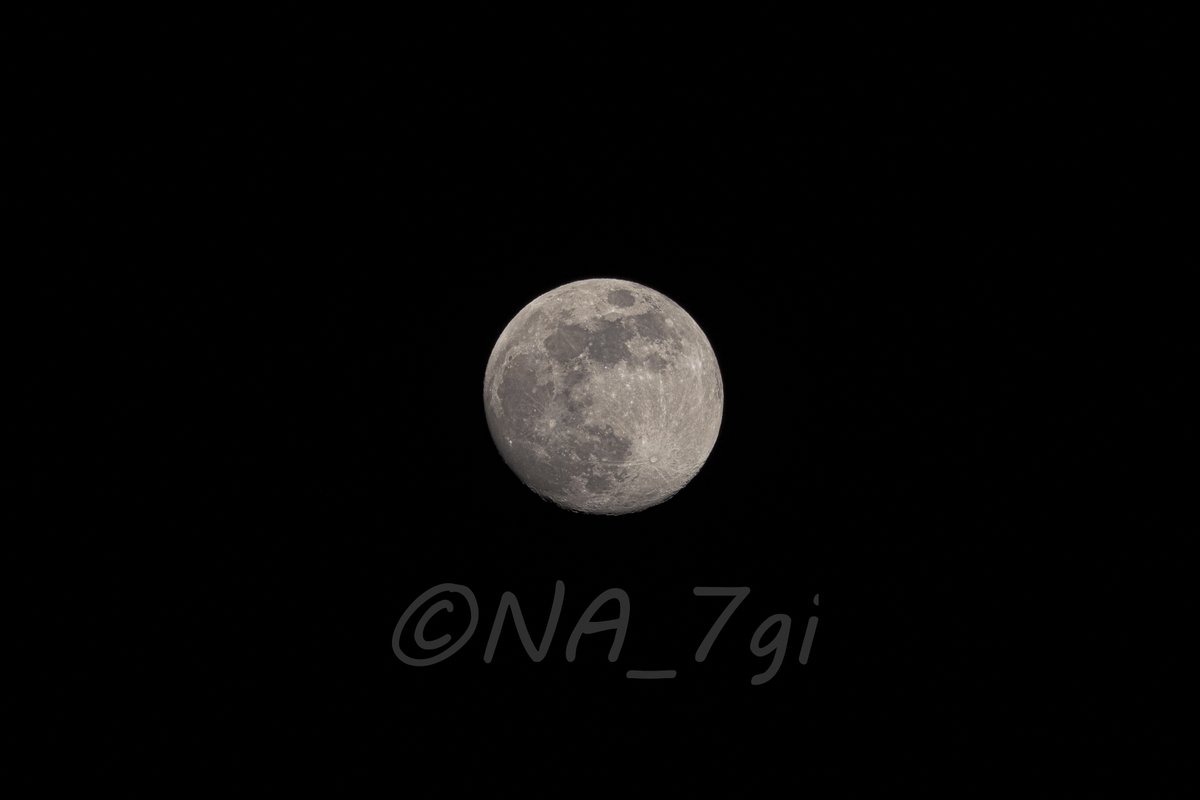 NA_7gi's tweet photo. たぶん満月の月

ＣＧみたいですが、ちゃんと写真なので拡大してみてほしいです😎
４Ｋで！📱

#過去pic　#tb　#tbt
#写真　#photography 
#風景　#landscape
#自然　#nature
#月　#moon
#満月　#fullmoon 
#富士フイルム　#fujifilm
#velvia
#ぜひ４K拡大で＋🔍 https://t.co/Kqi6pZLXrs